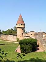 Cluny, Tour Fabry (3)